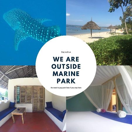 Kilindoni Afro Whale Shark Safari B&B 외부 사진