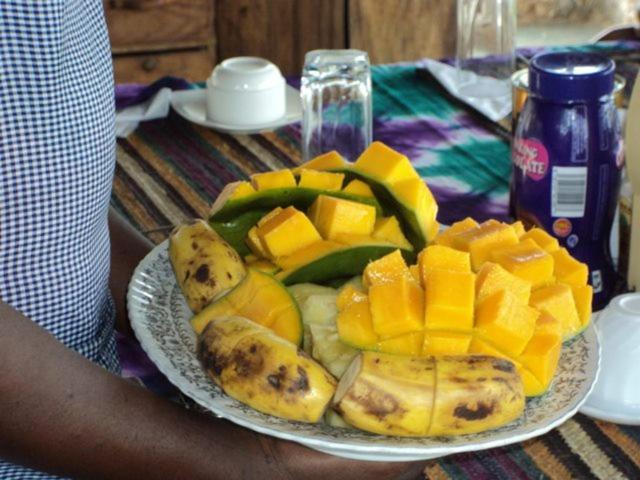 Kilindoni Afro Whale Shark Safari B&B 외부 사진