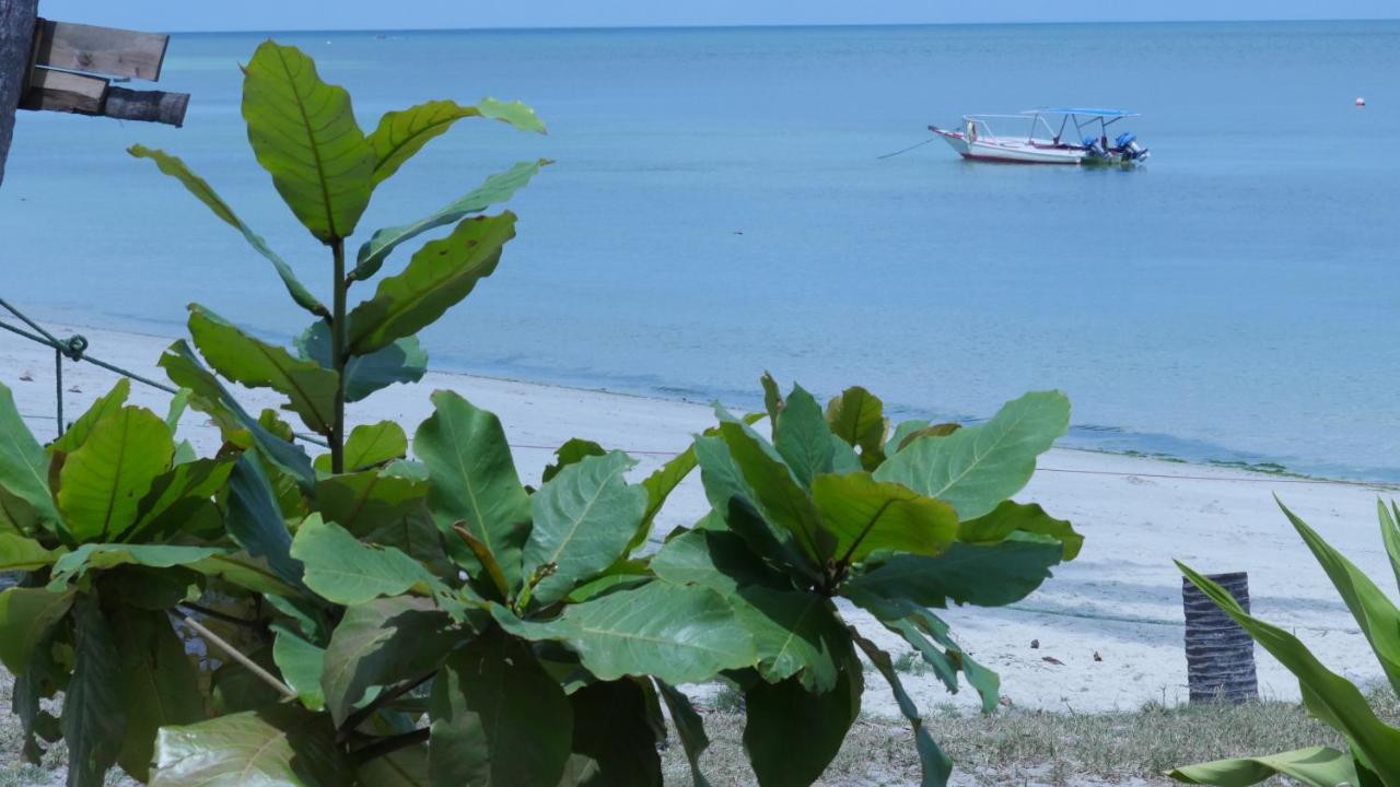 Kilindoni Afro Whale Shark Safari B&B 외부 사진
