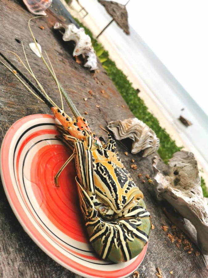 Kilindoni Afro Whale Shark Safari B&B 외부 사진