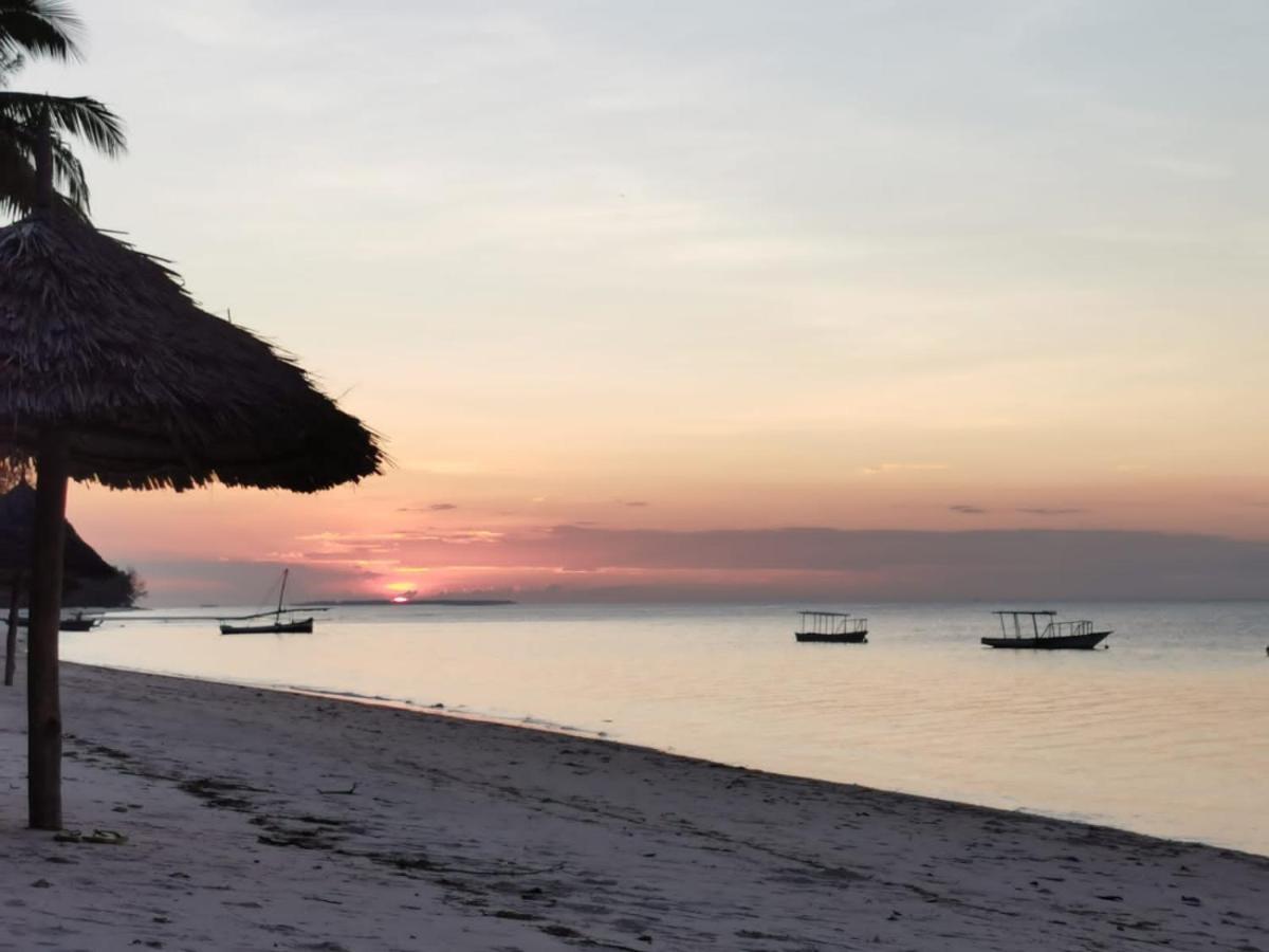 Kilindoni Afro Whale Shark Safari B&B 외부 사진