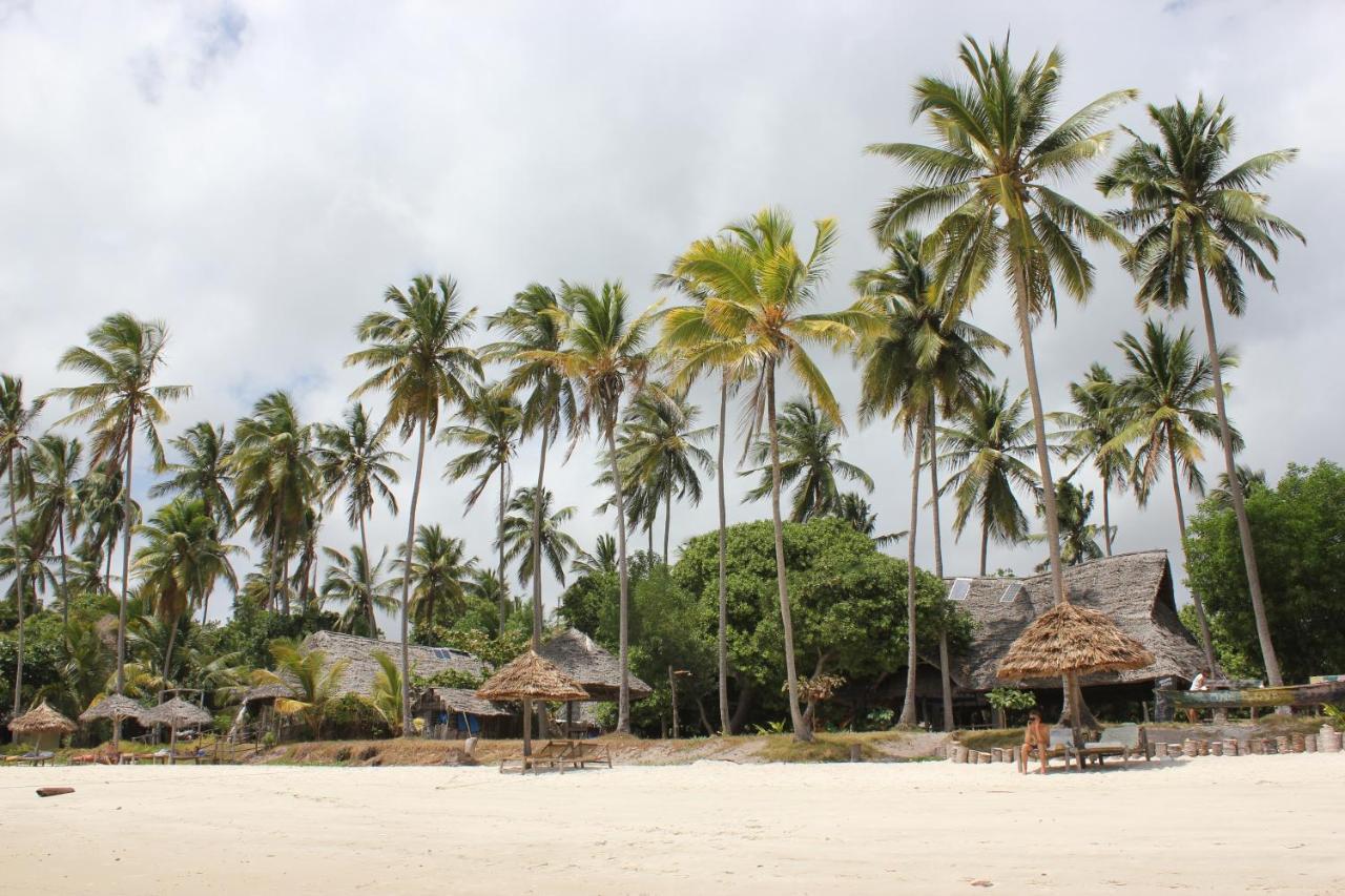 Kilindoni Afro Whale Shark Safari B&B 외부 사진